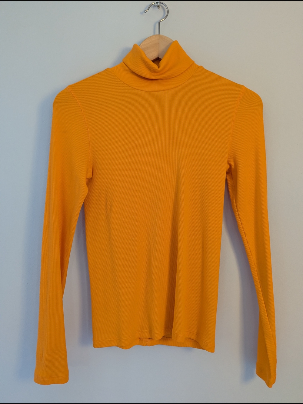 Everlane Orange Pima Micro-Rib Turtleneck